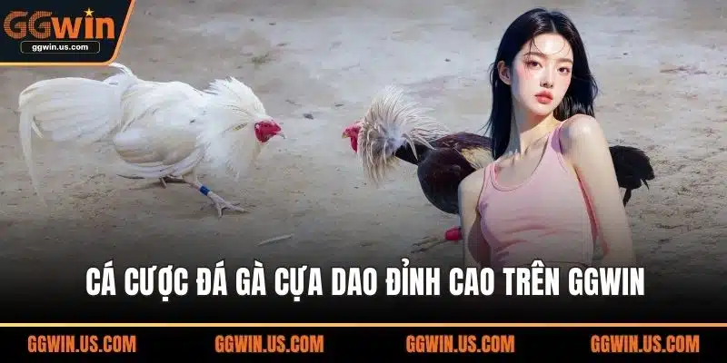 Cá cược đá gà cựa dao đỉnh cao trên GGWIN