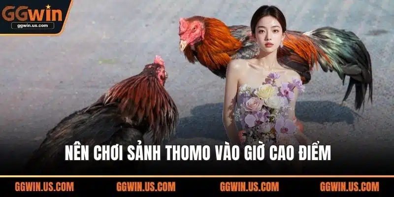 Nên chơi sảnh Thomo vào giờ cao điểm
