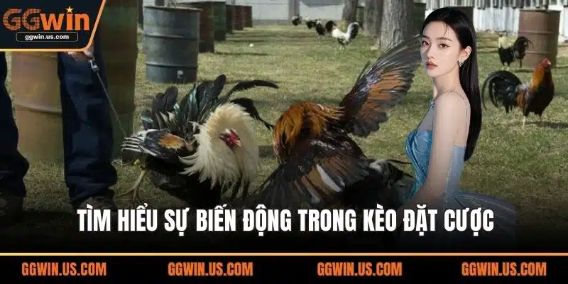 Tìm hiểu sự biến động trong kèo đặt cược