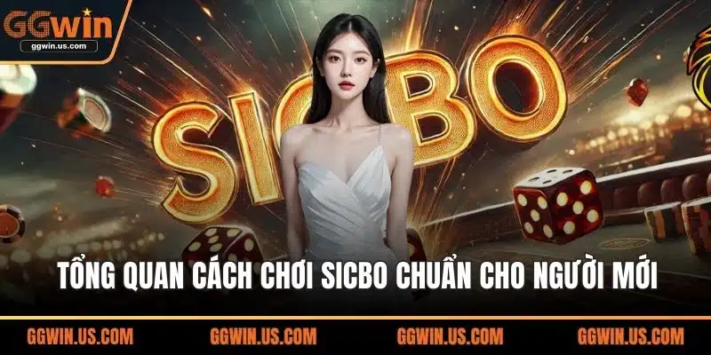 Tổng quan cách chơi Sicbo chuẩn cho người mới