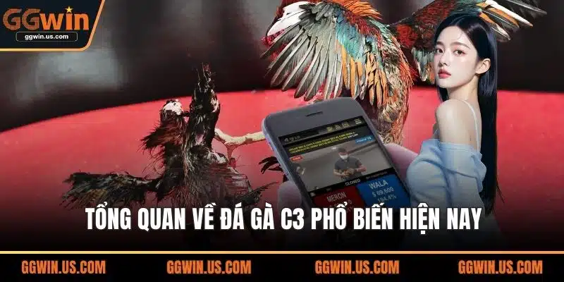Tổng quan về đá gà C3 phổ biến hiện nay